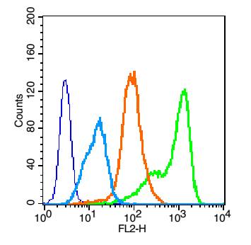 Human HUVEC Cells were fixed with 2% PFA (10min at room temperature) and then permeabilized with 90% ice-cold methanol for 30min on ice. The cells were then incubated in 0.5% BSA + 10% goat serum to block non-specific protein-protein interactions for 15 min. Cells were stained with EGFR Polyclonal Antibody, Unconjugated (bs-0165R) at 1:100 for 30 min on ice. The secondary antibody, Goat anti-rabbit IgG-PE, was used for 30 min on ice. Primary Antibody staining (green) is compared to unstained cells (dark blue), secondary only (light blue) and isotype control (orange).