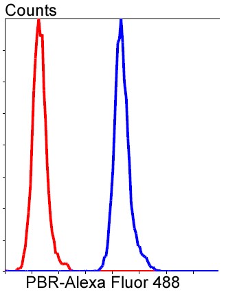Flow cytometric analysis of HeLa cells with PBR (1D4) Monoclonal Antibody (bsm-52249R) at a 1:50 dilution (red) compared with an unlabeled control (cells without incubation with primary antibody; blue).