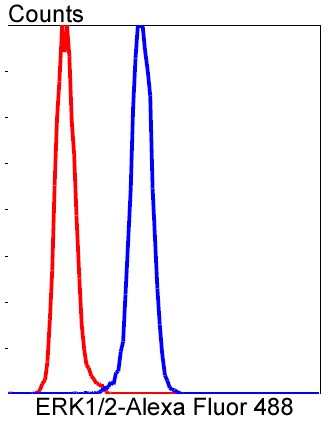 Flow cytometric analysis of HeLa cells with ERK1/2 (3A12) Monoclonal Antibody (bsm-52259R) at a 1:50 dilution (red) compared with an unlabeled control (cells without incubation with primary antibody; black).