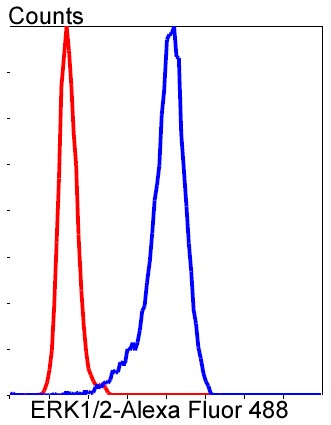 Flow cytometric analysis of SH-SY-5Y cells with ERK1/2 antibody at 1/50 dilution (blue) compared with an unlabelled control (cells without incubation with primary antibody; red). Alexa Fluor 488-conjugated goat anti-rabbit IgG was used as the secondary antibody.