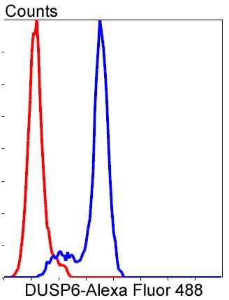 Flow cytometric analysis of NIH/3T3 cells with DUSP6 (9C3 ) Monoclonal Antibody (bsm-52270R) at 1:50 dilution followed by secondary antibody incubation (red), compared with an unlabeled control (cells without incubation with primary antibody; black).