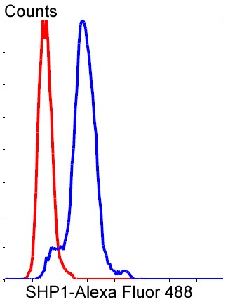 Flow cytometric analysis of HeLa cells with PTPN6 (1A5) Monoclonal Antibody (bsm-52271R) at 1:50 dilution followed by secondary antibody incubation (red), compared with an unlabeled control (cells without incubation with primary antibody; black).