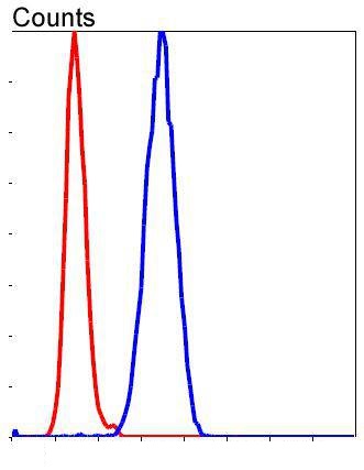 Flow cytometric analysis of SH-SY-5Y cells with DLG4 (1H8) Monoclonal Antibody (bsm-52272R) at 1:50 dilution followed by secondary antibody incubation (red), compared with an unlabeled control (cells without incubation with primary antibody; black).
