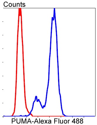Flow cytometric analysis of HeLa cells with PUMA (2G6) Monoclonal Antibody (bsm-52276R) at 1:50 dilution followed by secondary antibody incubation (red), compared with an unlabeled control (cells without incubation with primary antibody; black).