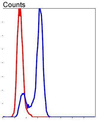 Flow cytometric analysis of HeLa cells with PTK2 (2F4) Monoclonal Antibody (bsm-52277R) at 1:50 dilution followed by secondary antibody incubation (red), compared with an unlabeled control (cells without incubation with primary antibody; black).