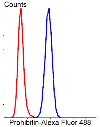 Flow cytometric analysis of HepG2 cells with Prohibitin (1F10) Monoclonal Antibody (bsm-52282R) at 1:50 dilution followed by secondary antibody incubation (red), compared with an unlabeled control (cells without incubation with primary antibody; black).