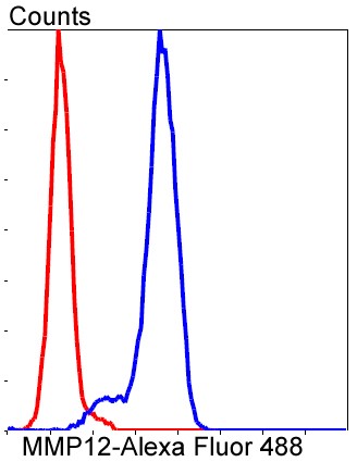 Flow cytometric analysis of A549 cells with MMP12 (1A4) Monoclonal Antibody (bsm-52292R) at a 1:50 dilution (red) compared with an unlabeled control (cells without incubation with primary antibody; blue).