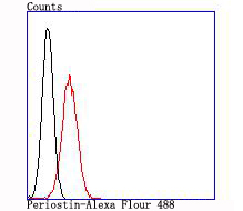 Flow cytometric analysis of 293T cells with Periostin (2F7) Monoclonal Antibody (bsm-54036R) at 1:100 dilution (red) compared with an unlabeled control (cells without incubation with primary antibody; black).