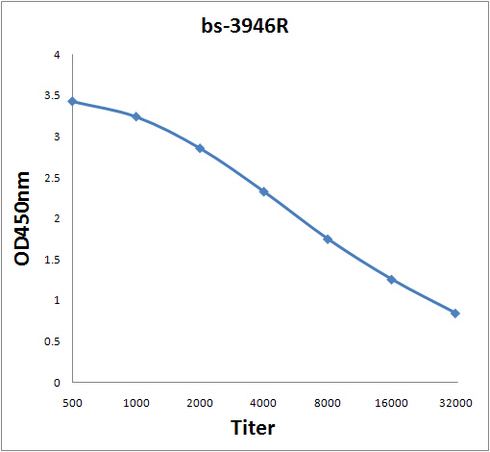 Antigen: bs-3946P, 2ug/100ul \nPrimary: Antiserum, 1:500, 1:1000, 1:2000, 1:4000, 1:8000, 1:16000, 1:32000; \nSecondary: HRP conjugated Rabbit Anti-Goat IgG(bs-0294R-HRP) at 1: 5000; \nTMB staining\nRead the data in Microplate Reader by 450nm. \n