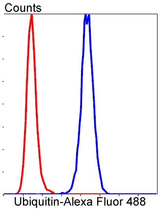 Flow cytometric analysis of HepG2 cells with Ubiquitin (7C6) Monoclonal Antibody (bsm-52447R) at a 1:50 dilution (red) compared with an unlabeled control (cells without incubation with primary antibody; blue).