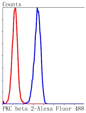 Flow cytometric analysis of HeLa cells with PKC beta 2 (10A1) Monoclonal Antibody (bsm-52464R) at 1:50 dilution followed by secondary antibody incubation (red), compared with an unlabeled control (cells without incubation with primary antibody; black).