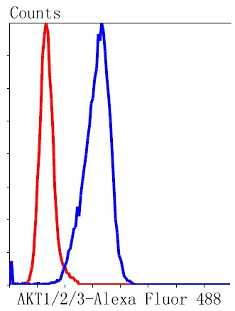 Flow cytometric analysis of A549 cells with AKT1/2/3 (35B2) Monoclonal Antibody (bsm-52468R) at 1:50 dilution followed by secondary antibody incubation (red), compared with an unlabeled control (cells without incubation with primary antibody; black). Flow cytometric analysis of A549 cells with AKT1/2/3 (35B2) Monoclonal Antibody (bsm-52468R) at 1:50 dilution followed by secondary antibody incubation (red), compared with an unlabeled control (cells without incubation with primary antibody; black).