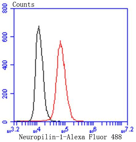 Flow cytometric analysis of HeLa cells with Neuropilin-1 (49H9) Monoclonal Antibody (bsm-52479R)) at 1:50 dilution (red) compared with an unlabeled control (cells without incubation with primary antibody; black). Flow cytometric analysis of HeLa cells with Neuropilin-1 (49H9) Monoclonal Antibody (bsm-52479R)) at 1:50 dilution (red) compared with an unlabeled control (cells without incubation with primary antibody; black).