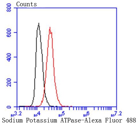 Flow cytometric analysis of HeLa cells with Sodium Potassium ATPase (13H5) Monoclonal Antibody (bsm-52485R) at 1:50 dilution (red) compared with an unlabeled control (cells without incubation with primary antibody; black).
