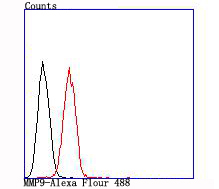 Flow cytometric analysis of A431 cells with MMP9 (7D6) Monoclonal Antibody (bsm-54040R) at 1:100 dilution (red) compared with an unlabeled control (cells without incubation with primary antibody; black).