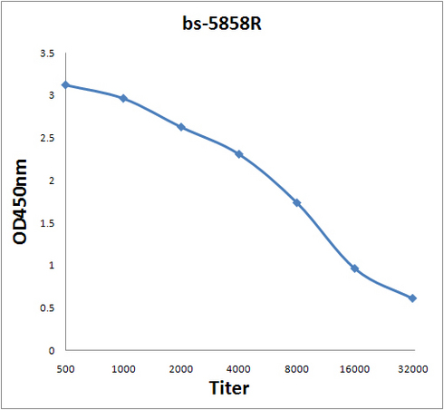 Antigen: bs-6036P, 2ug/100ul \nPrimary: Antiserum, 1:500, 1:1000, 1:2000, 1:4000, 1:8000, 1:16000, 1:32000; \nSecondary: HRP conjugated Rabbit Anti-Goat IgG(bs-0294R-HRP) at 1: 5000; \nTMB staining\nRead the data in Microplate Reader by 450nm.