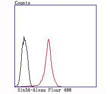 Flow cytometric analysis of MCF-7 cells with Sin3A (3A6) Monoclonal Antibody (bsm-54058R) at 1:100 dilution (red) compared with an unlabeled control (cells without incubation with primary antibody; black).