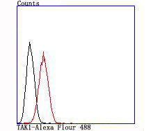 Flow cytometric analysis of A431 cells with MAP3K7 (11A1) Monoclonal Antibody (bsm-54071R) at 1:100 dilution (red) compared with an unlabeled control (cells without incubation with primary antibody; black).