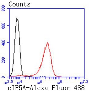 Flow cytometric analysis of Jurkat cells with eIF5A (3A6) Monoclonal Antibody (bsm-52519R) at 1:50 dilution (red) compared with an unlabeled control (cells without incubation with primary antibody; black). Flow cytometric analysis of Jurkat cells with eIF5A (3A6) Monoclonal Antibody (bsm-52519R) at 1:50 dilution (red) compared with an unlabeled control (cells without incubation with primary antibody; black).