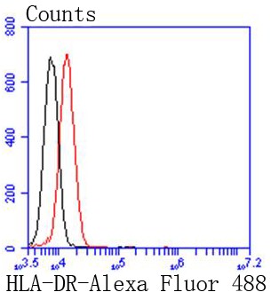 Flow cytometric analysis of Jurkat cells with HLA-DR (32G3) Monoclonal Antibody (bsm-52535R) at 1:50 dilution (red) compared with an unlabeled control (cells without incubation with primary antibody; black).