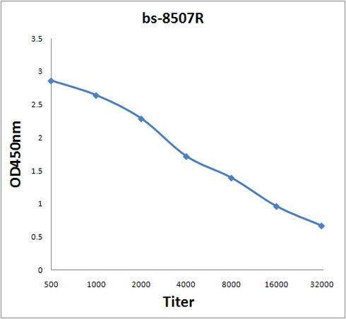 Antigen: bs-8307P, 2ug/100ul \nPrimary: Antiserum, 1:500, 1:1000, 1:2000, 1:4000, 1:8000, 1:16000, 1:32000; \nSecondary: HRP conjugated Rabbit Anti-Goat IgG(bs-0294R-HRP) at 1: 5000; \nTMB staining\nRead the data in Microplate Reader by 450nm.