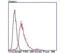 Flow cytometric analysis of SW480 cells with Cytochrome P450 2D6 (1A7) Monoclonal Antibody (bsm-54084R) at 1:100 dilution (red) compared with an unlabeled control (cells without incubation with primary antibody; black).