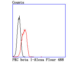 Flow cytometric analysis of K562 cells with PKC beta 1 (1G4) Monoclonal Antibody (bsm-54087R) at 1:100 dilution (red) compared with an unlabeled control (cells without incubation with primary antibody; black).