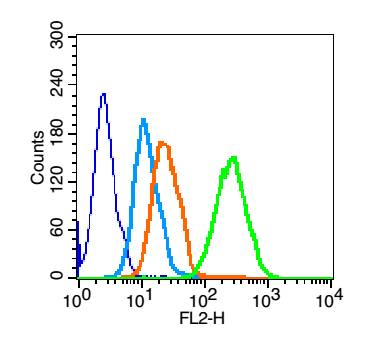 Human HL60 Cells were fixed with 70% methanol (Overnight at 4\u2103). The cells were then incubated in 1 X PBS\/2%BSA\/10% goat serum to block non-specific protein-protein interactions followed by incubation with CD19 Polyclonal Antibody, Unconjugated (bs-4755R) at 0.2 \u03bcg\/10^6 cells for 30 minutes at room temp. A PE-conjugated secondary antibody was used for 40 min at room temperature. The graph compares the primary antibody (green) to unstained cells (dark blue), secondary only (light blue), and isotype control (orange).