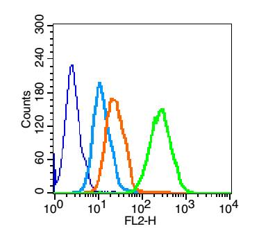 Human HL60 Cells were fixed with 70% methanol (Overnight at 4℃). The cells were then incubated in 1 X PBS/2%BSA/10% goat serum to block non-specific protein-protein interactions followed by incubation with CD19 Polyclonal Antibody, Unconjugated (bs-4755R) at 0.2 μg/10^6 cells for 30 minutes at room temp. A PE-conjugated secondary antibody was used for 40 min at room temperature. The graph compares the primary antibody (green) to unstained cells (dark blue), secondary only (light blue), and isotype control (orange).