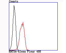 Flow cytometric analysis of 293T cells with KMT5A (2A1) Monoclonal Antibody (bsm-54112R) at 1:100 dilution (red) compared with an unlabeled control (cells without incubation with primary antibody; black).