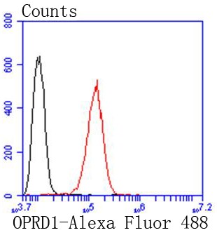 Flow cytometric analysis of Sh-sy5y cells with Delta Opioid Receptor (8A1) Monoclonal Antibody (bsm-54334R) at a 1:50 dilution (red) compared with an unlabeled control (cells without incubation with primary antibody; black). Flow cytometric analysis of Sh-sy5y cells with Delta Opioid Receptor (8A1) Monoclonal Antibody (bsm-54334R) at a 1:50 dilution (red) compared with an unlabeled control (cells without incubation with primary antibody; black).