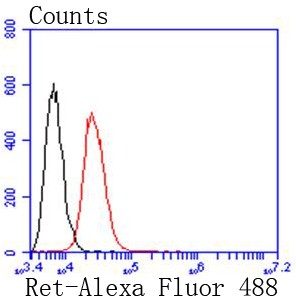 Flow cytometric analysis of SW480 cells with Ret (4C3) Monoclonal Antibody (bsm-52650R) at 1:50 dilution (red) compared with an unlabeled control (cells without incubation with primary antibody; black).