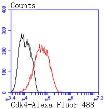 Flow cytometric analysis of MCF7 cells with Cdk4 (6A4) Monoclonal Antibody (bsm-52651R) at 1:50 dilution (red) compared with an unlabeled control (cells without incubation with primary antibody; black).