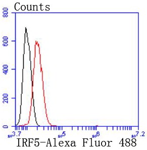 Flow cytometric analysis of HeLa cells with IRF5 (2C5) Monoclonal Antibody (bsm-52655R) at 1:50 dilution (red) compared with an unlabeled control (cells without incubation with primary antibody; black).