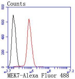 Flow cytometric analysis of K562 cells with MEK7 (7C6) Monoclonal Antibody (bsm-52666R) at 1:50 dilution followed by secondary antibody incubation (red), compared with an unlabeled control (cells without incubation with primary antibody; black).