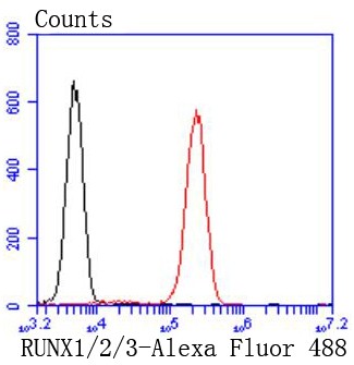 Flow cytometric analysis of Jurkat cells with RUNX1+RUNX2+RUNX3 (1C3) Monoclonal Antibody (bsm-52674R) at 1:50 dilution (red) compared with an unlabeled control (cells without incubation with primary antibody; black).