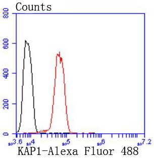 Flow cytometric analysis of HeLa cells with KAP1 (7C5) Monoclonal Antibody (bsm-52679R) at 1:50 dilution (red) compared with an unlabeled control (cells without incubation with primary antibody; black).