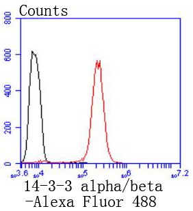 Flow cytometric analysis of HeLa cells with 14-3-3 alpha+beta (3C5) Monoclonal Antibody (bsm-52710R) at 1:50 dilution (red) compared with an unlabeled control (cells without incubation with primary antibody; black).
