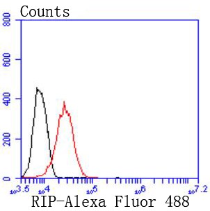 Flow cytometric analysis of 293 cells with RIP (9C3) Monoclonal Antibody (bsm-52766R) at 1:50 dilution (red) compared with an unlabeled control (cells without incubation with primary antibody; black).