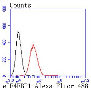 Flow cytometric analysis of nih/3t3 cells with eIF4EBP1 (9C1) Monoclonal Antibody (bsm-52771R) at 1:50 dilution (red) compared with an unlabeled control (cells without incubation with primary antibody; black). Flow cytometric analysis of nih/3t3 cells with eIF4EBP1 (9C1) Monoclonal Antibody (bsm-52771R) at 1:50 dilution (red) compared with an unlabeled control (cells without incubation with primary antibody; black).