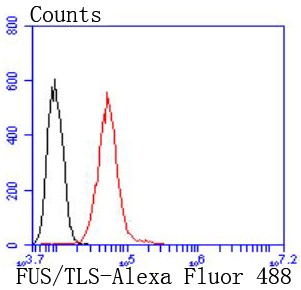 Flow cytometric analysis of HeLa cells with FUS/TLS (8C1) Monoclonal Antibody (bsm-52774R) at 1:50 dilution (red) compared with an unlabeled control (cells without incubation with primary antibody; black).