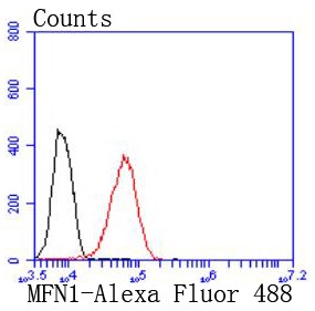 Flow cytometric analysis of 293 cells with Mitofusin 1 (7C2) Monoclonal Antibody (bsm-52788R) at 1:50 dilution (red) compared with an unlabeled control (cells without incubation with primary antibody; black). Flow cytometric analysis of 293 cells with Mitofusin 1 (7C2) Monoclonal Antibody (bsm-52788R) at 1:50 dilution (red) compared with an unlabeled control (cells without incubation with primary antibody; black).