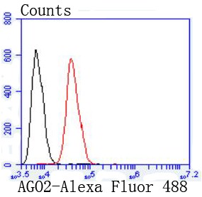 Flow cytometric analysis of Jurkat cells with Argonaute 2 (7C3) Monoclonal Antibody (bsm-52820R) at 1:50 dilution (red) compared with an unlabeled control (cells without incubation with primary antibody; black)