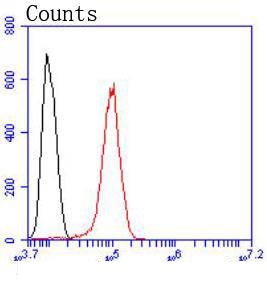 Flow cytometric analysis of HeLa cells with MAP2K1 (7D8) Monoclonal Antibody (bsm-52311R) at 1:50 dilution (red) compared with an unlabeled control (cells without incubation with primary antibody; black).