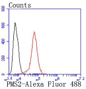 Flow cytometric analysis of HeLa cells with PMS2 (9H11) Monoclonal Antibody (bsm-52337R) at 1:50 dilution followed by secondary antibody incubation (red), compared with an unlabeled control (cells without incubation with primary antibody; black).