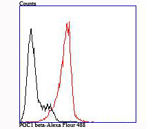 Flow cytometric analysis of HL-60 cells with PPARG coactivator 1 beta (6H5) Monoclonal Antibody (bsm-54119R) at 1:100 dilution (red) compared with an unlabeled control (cells without incubation with primary antibody; black).