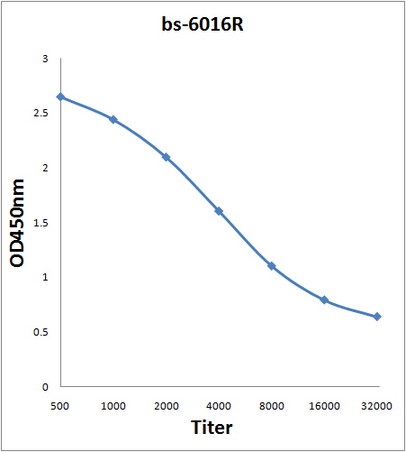 Antigen: bs-6016P, 0.2ug/100ul \nPrimary: Antiserum, 1:500, 1:1000, 1:2000, 1:4000, 1:8000, 1:16000, 1:32000; \nSecondary: HRP conjugated Goat-Anti-Rabbit IgG(bs-0295G-HRP) at 1: 5000;\nTMB staining;\nRead the data in MicroplateReader by 450