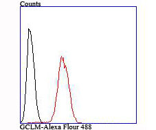 Flow cytometric analysis of Hela cells with GCLM (4G5) Monoclonal Antibody (bsm-54141R) at 1:100 dilution (red) compared with an unlabeled control (cells without incubation with primary antibody; black).