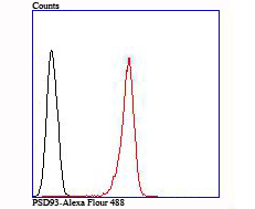 Flow cytometric analysis of SH-SY5Y cells with DLG2 (6D1) Monoclonal Antibody (bsm-54145R) at 1:100 dilution (red) compared with an unlabeled control (cells without incubation with primary antibody; black).