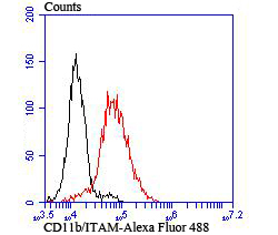 Flow cytometric analysis of THP-1 cells with CD11b (9B3) Monoclonal Antibody (bsm-54156R) at 1:100 dilution (red) compared with an unlabeled control (cells without incubation with primary antibody; black).